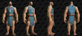 The Honorbound