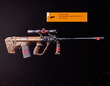 Bighorn Exotic Assault Rifle Weapon