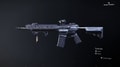 The Ravenous Exotic rifle