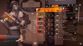 Bighorn Exotic Assault Rifle Weapon