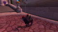 Glory of the Legion Raider