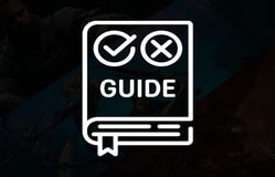 Guides