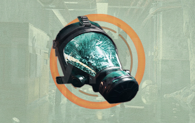 Coyote's Mask Exotic