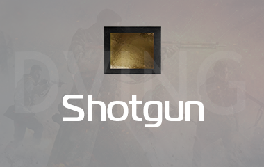 Any Shotgun Gold Camo Unlock game screenshot