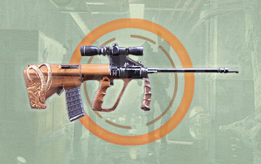 Bighorn Exotic Assault Rifle Weapon game screenshot