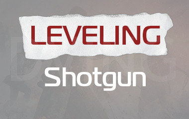 Any Shotgun Leveling game screenshot