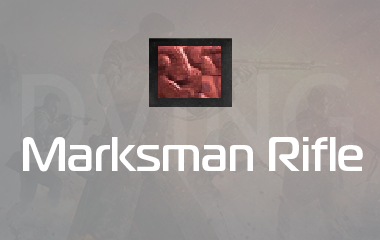 Any Marksman Rifle Golden Viper Camo Unlock game screenshot
