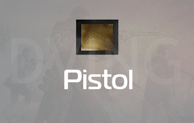 Any Pistol Gold Camo Unlock game screenshot
