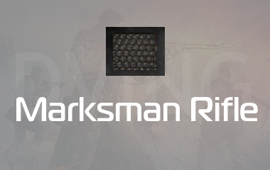 Marksmans Diamond Camo Unlock game screenshot