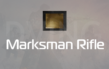 Any Marksman Rifle Gold Camo Unlock game screenshot