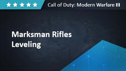 Marksman Rifles Leveling