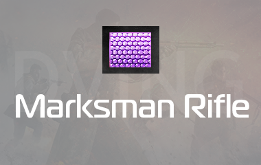 Marksman Plague Diamond Camo Unlock game screenshot