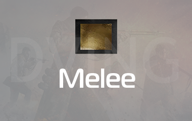 Any Melee Gold Camo Unlock game screenshot